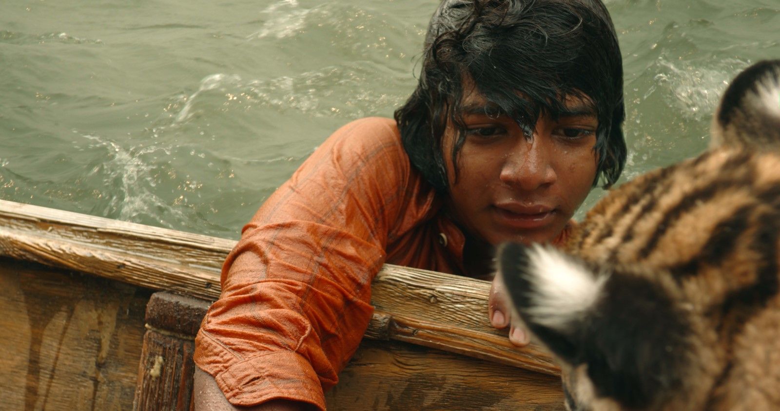 Foto de la película El niño y el tigre Foto 19 por un total de 26