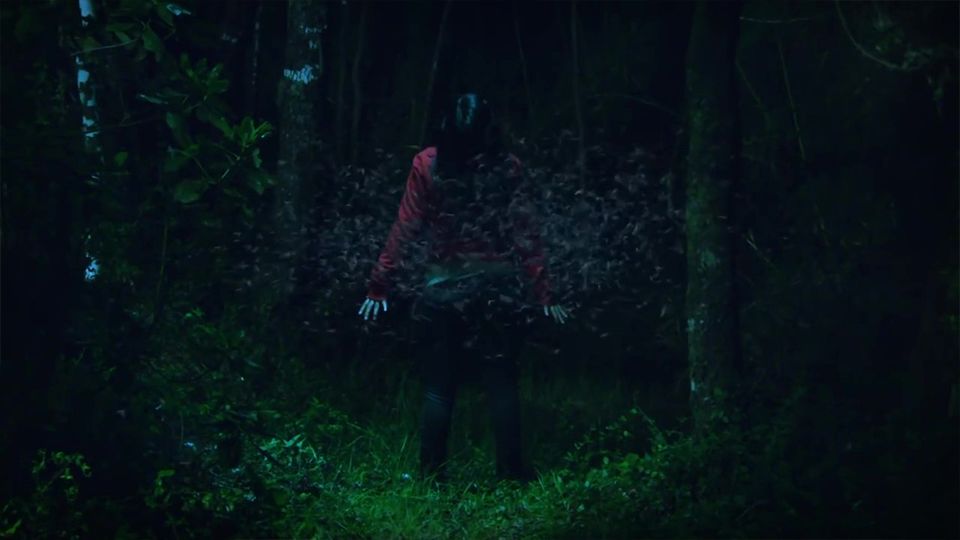 Trailer De La Pel Cula Gritos Del Bosque Tr Iler De Gritos Del Bosque