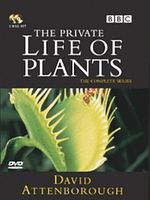 Cartel de The Private Life of Plants