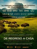 Cartel de De Regreso a Casa