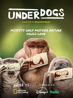 imagen de Underdogs