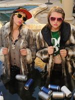 imagen de Idiotsitter