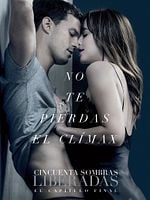 Cartel de Cincuenta sombras liberadas