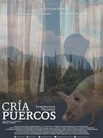 Cartel de Cría puercos