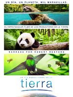 Cartel de Un día maravilloso en la Tierra