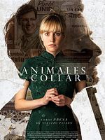 Cartel de Animales sin collar