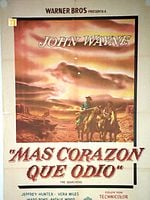 Cartel de Más corazón que odio