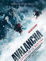 Cartel de Avalancha, Desastre en la montaña