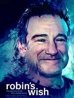 Cartel de Robin's Wish