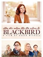 Cartel de Blackbird