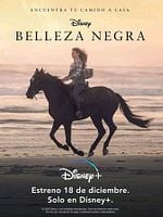 Cartel de Belleza negra