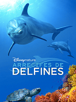 Cartel de Arrecife de delfines