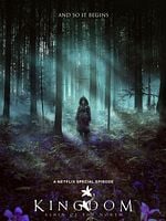 Cartel de Kingdom: Ashin del norte