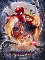 Cartel de Spider-Man: Sin Camino a Casa