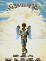 Cartel de El cielo puede esperar