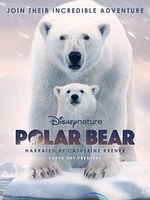 Cartel de Oso Polar