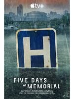 imagen de Después del huracán