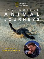 imagen de Animales viajeros