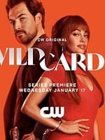 imagen de Wild Cards