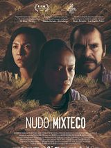 Cartel de Nudo mixteco