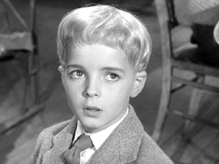 foto de Martin Stephens