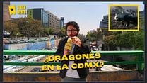 imagen de 'Cómo entrenar a tu Dragón' - Dragones sobre vuelan la Ciudad de México