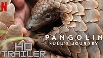 imagen de 'Pangolín: El viaje de Kulu' - Tráiler Oficial