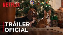 imagen de Tráiler Oficial en Español de 'La razón de estar contigo: Una Navidad perfecta'