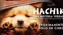 imagen de 'Hachiko: Una historia verdadera' - Tráiler Oficial