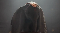 imagen de Tráiler de Dumbo