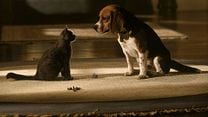 imagen de 'Como perros y gatos'- Tráiler oficial