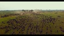 imagen de 'Into the Okavango'- Tráiler oficial