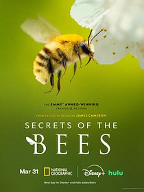 Secreto de las Abejas