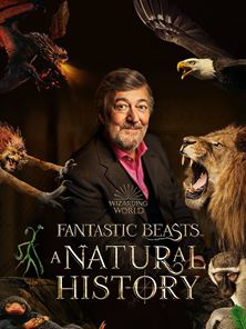 'Fantastic Beasts: A Natural History'- Tráiler oficial