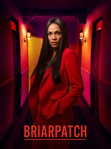 Cartel de Briarpatch Temporada 1