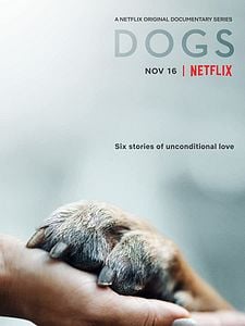 Cartel de Amigos Caninos Temporada 1