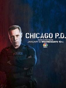 Chicago PD Guía de las temporadas SensaCine com mx