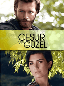 Cartel de Amor Valiente Temporada 1