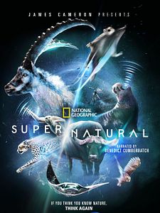 Cartel de Supernatural Planet Temporada 1