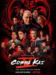 Cartel de Cobra Kai Temporada 6