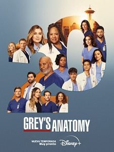 Cartel de Grey's Anatomy Temporada 20
