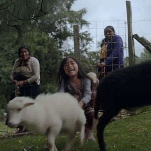 Foto Formas de atravesar un territorio