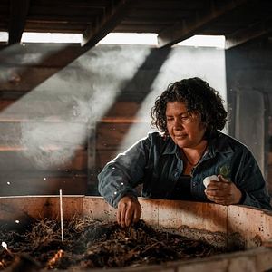 Foto Las hijas del maguey