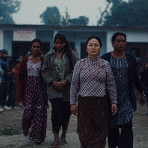 Foto Elephants in the Fog