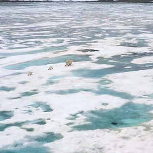 Foto Nuestros océanos