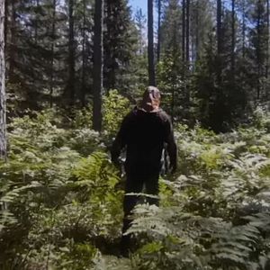 Foto De Naturaleza Violenta