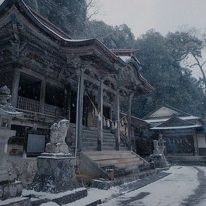 Foto The Forest of Shinaburi