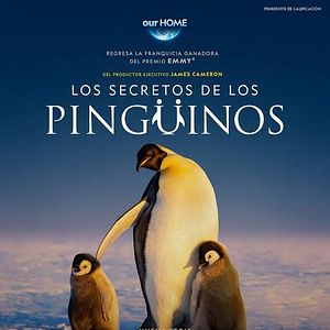 Foto Los Secretos de Los Pingüinos
