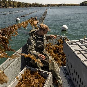 Foto We Can Get There from Here