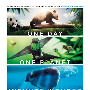 Foto Un día maravilloso en la Tierra